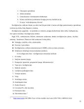 Optimizuotų informacinių technologijų incidentų valdymo sistemos 19 puslapis