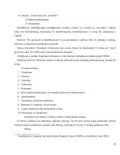 Optimizuotų informacinių technologijų incidentų valdymo sistemos 20 puslapis