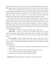 Optimizuotų informacinių technologijų incidentų valdymo sistemos 3 puslapis