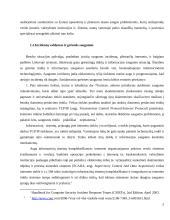 Optimizuotų informacinių technologijų incidentų valdymo sistemos 5 puslapis