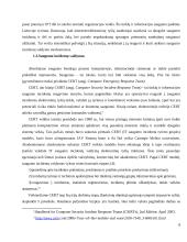 Optimizuotų informacinių technologijų incidentų valdymo sistemos 8 puslapis