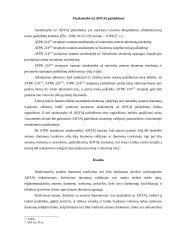 Nepilnamečių duomenų apsauga 13 puslapis