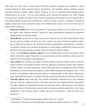 Reali skaitmeninių procesorių sparta  13 puslapis