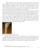 Reali skaitmeninių procesorių sparta  17 puslapis