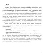 Reali skaitmeninių procesorių sparta  19 puslapis