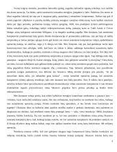 Reali skaitmeninių procesorių sparta  9 puslapis