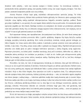 Reali skaitmeninių procesorių sparta  10 puslapis