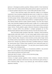 Socialinio darbo etikos principai 6 puslapis