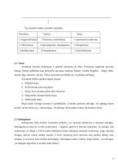 Aristotelio dorybių etika 6 puslapis