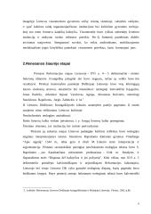 Renesansas ir reformacija šiaurės šalyse 6 puslapis