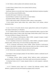 Automobilio priekaba vandens motociklui 19 puslapis