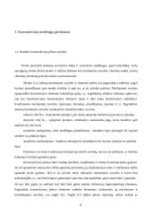 Automobilio priekaba vandens motociklui 5 puslapis