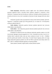 Biodyzelino gamybos šalutiniai produktai 2 puslapis