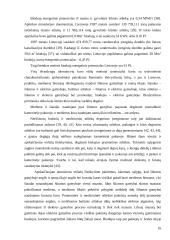 Biodyzelino gamybos šalutiniai produktai 16 puslapis