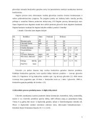 Biodyzelino gamybos šalutiniai produktai 5 puslapis