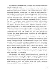 Biodyzelino gamybos šalutiniai produktai 6 puslapis