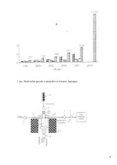 Biodyzelino gamybos šalutiniai produktai 8 puslapis