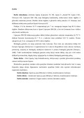 Lipazės specifiškumas katalizuojamoms reakcijoms 2 puslapis