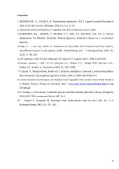 Lipazės specifiškumas katalizuojamoms reakcijoms 17 puslapis