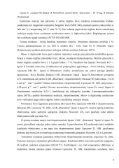 Lipazės specifiškumas katalizuojamoms reakcijoms 6 puslapis