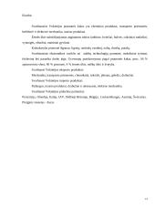 Vokietijos socialinė ir ekonominė georgrafija 13 puslapis