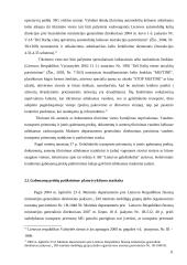 Patrulio vyresniojo darbo samprata 11 puslapis