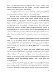 Patrulio vyresniojo darbo samprata 12 puslapis