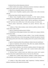 Patrulio vyresniojo darbo samprata 16 puslapis