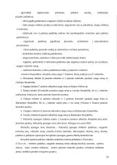 Patrulio vyresniojo darbo samprata 20 puslapis