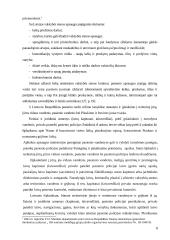 Patrulio vyresniojo darbo samprata 8 puslapis