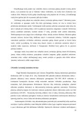 Patrulio vyresniojo darbo samprata 10 puslapis