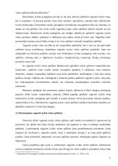 Pirminiai tyrimo veiksmai tiriant vagystes 17 puslapis