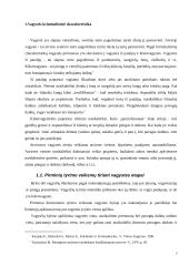 Pirminiai tyrimo veiksmai tiriant vagystes 3 puslapis