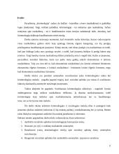 Asmenybės socializacija ir įtaka kriminologinei raidai 2 puslapis