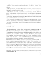 Asmenybės socializacija ir įtaka kriminologinei raidai 18 puslapis