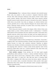 Kriminogeninių veiksnių sisitema šeimoje  2 puslapis