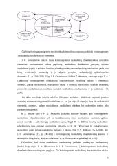 Kriminogeninių veiksnių sisitema šeimoje  6 puslapis