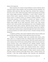 Nusikaltimų prevencijos teisinis reglamentavimas 8 puslapis