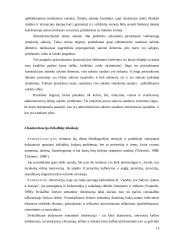 Leksinė konkretizacija verčiant ES dokumentus 13 puslapis