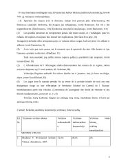 Leksinė konkretizacija verčiant ES dokumentus 6 puslapis