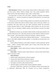 Tautines realijos žodynuose ir tekstuose 2 puslapis