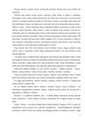 Tautines realijos žodynuose ir tekstuose 11 puslapis