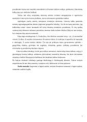 Tautines realijos žodynuose ir tekstuose 3 puslapis