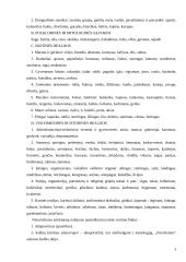 Tautines realijos žodynuose ir tekstuose 8 puslapis