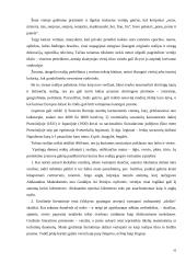 Tautines realijos žodynuose ir tekstuose 10 puslapis