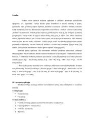 Kiekybinis tyrimas - visuomenės sveikatos priežiūra 2 puslapis