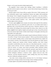 Mokslo ir studijų koncentracija  5 puslapis