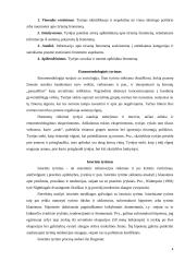 Tyrimo metodologijos darbas kokybiniai metodai 4 puslapis