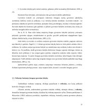 Mokytojų sveikatos svarba 12 puslapis