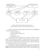 Mokytojų sveikatos svarba 13 puslapis
